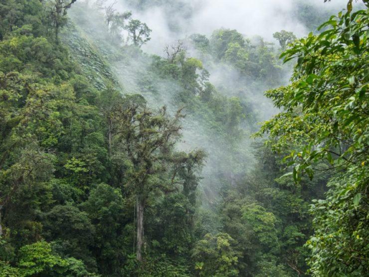 Hostel California Monteverde Zewnętrze zdjęcie