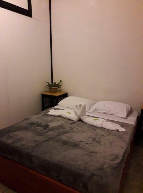 Hostel California Monteverde Zewnętrze zdjęcie