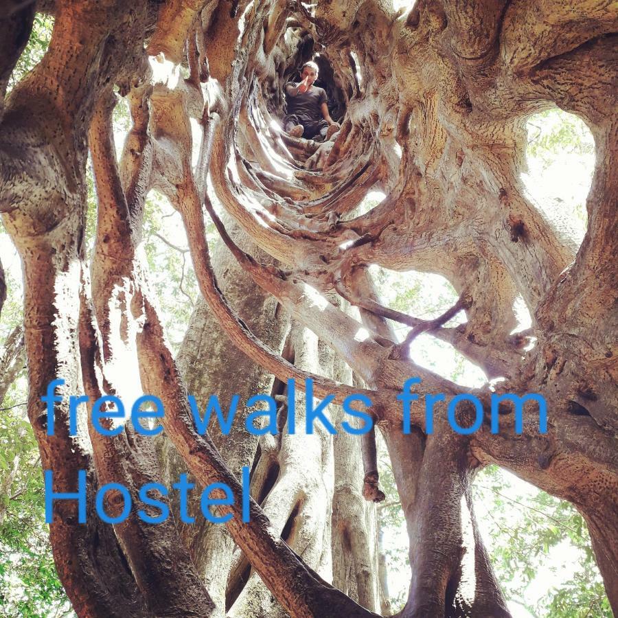 Hostel California Monteverde Zewnętrze zdjęcie